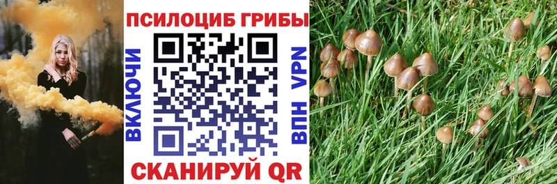 Псилоцибиновые грибы GOLDEN TEACHER  Купить  Владикавказ 